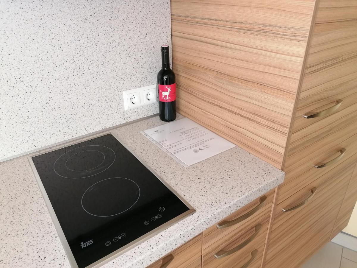 Gartenappartement Ybbs Ybbs an der Donau Zewnętrze zdjęcie